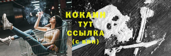 гидра Рославль