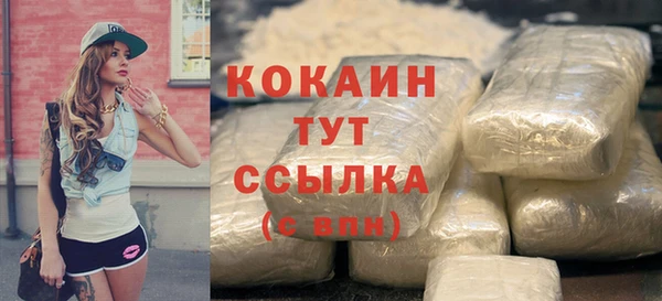гидра Рославль