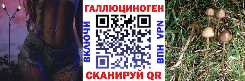 MEGA маркетплейс  Мостовской  Псилоцибиновые грибы Psilocybine cubensis 